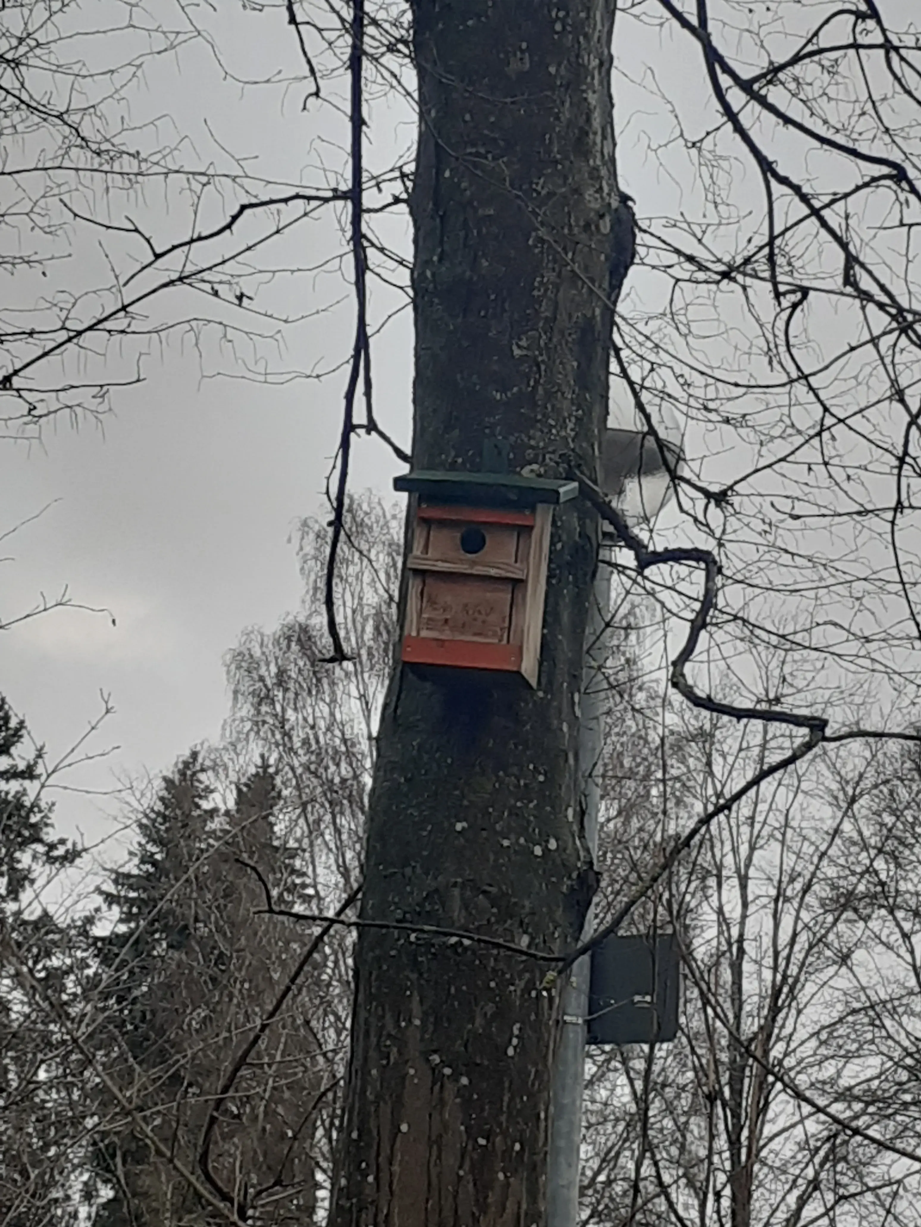 Nistkasten zu vermieten